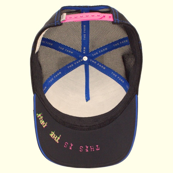 🎱SOLD OUT Limited Edition Goorin Brothers CHAMELEON Trucker Hat (Drip Capsule) - Picture 5 of 9